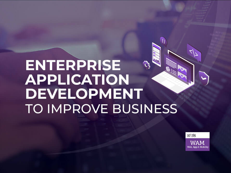 Enterprise Application Development to Improve Business