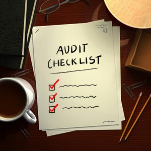 Audit Checklist App