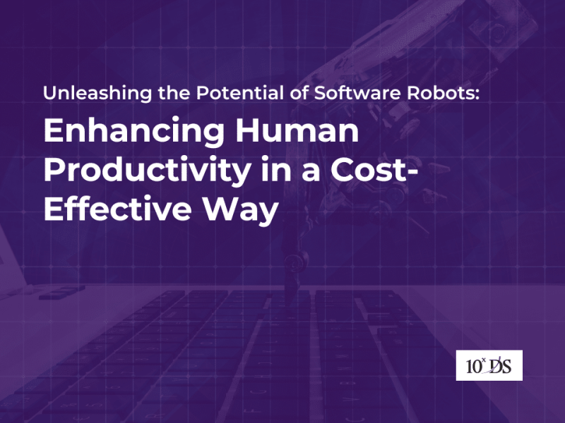 Unleashing the Potential of Software Robots: Enhancing Human Productivity in a Cost-Effective Way